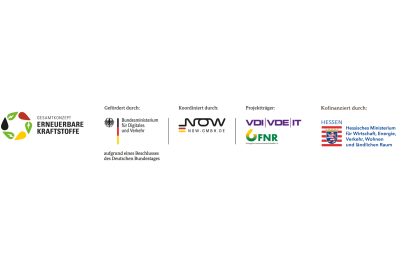 Logo Projektträger VDIVDE IT